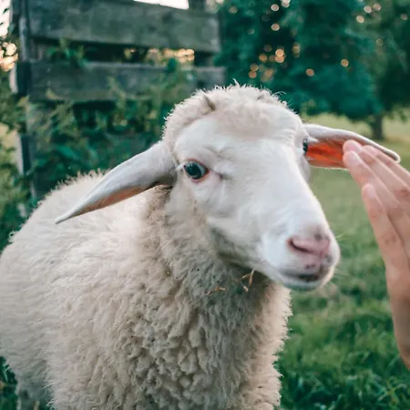Hof Zuernen Apartmán Wolfegg